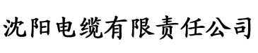 日韩视频大香蕉电缆厂logo